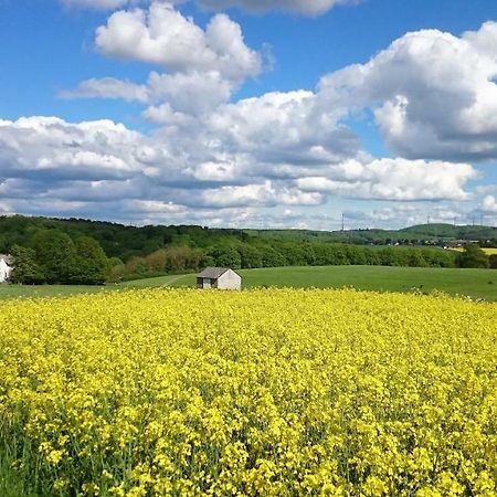 Ferienwohnung An Der Almequelle Brilon Esterno foto