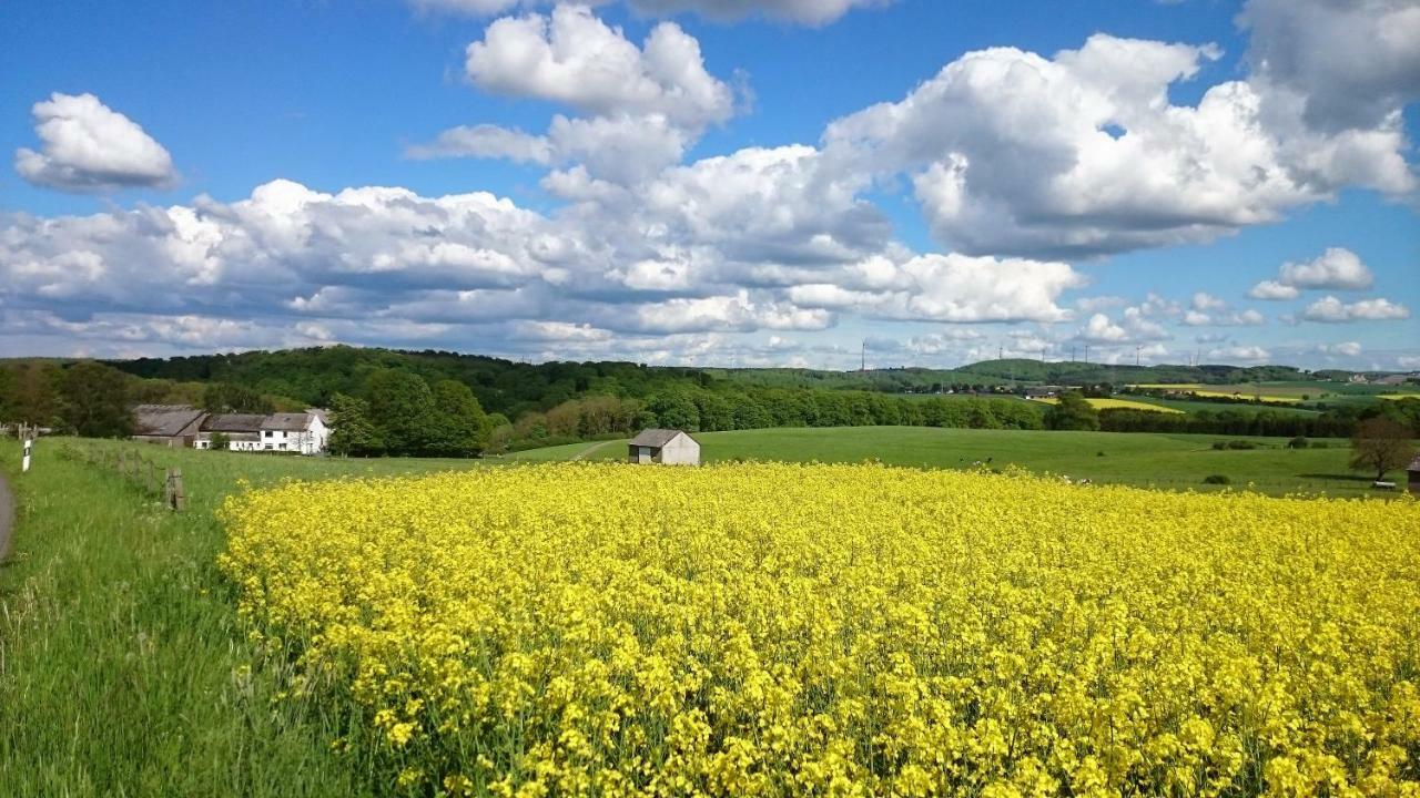 Ferienwohnung An Der Almequelle Brilon Esterno foto